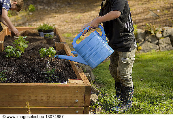 Boy watering plants while brother planting in raised-bed gardening at backyard