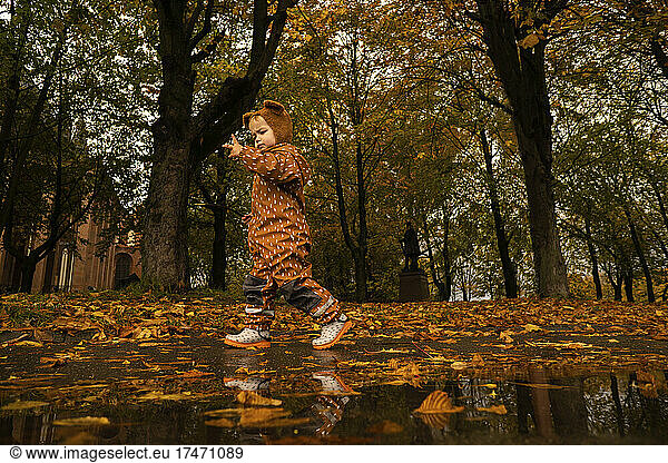 Boy wearing brown raincoat walking in autumn park