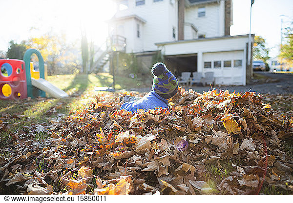 Boy wearing hat lays down playing in a pile of leaves in the backyard