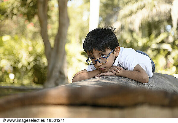 Boy with glasses lying on a tree in nature
