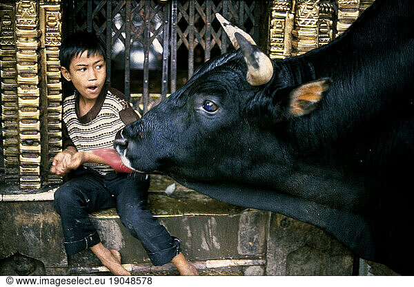 Boy with holy bull in temple