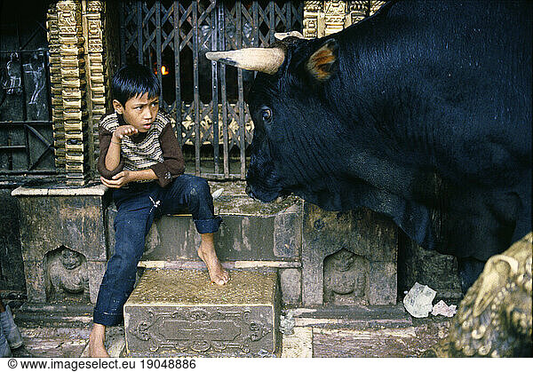 Boy with holy bull in temple
