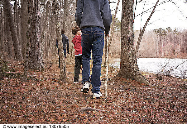 Boys (6-7  14-15) exploring forest
