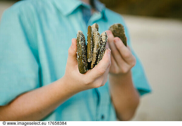 Boys hand collects and holds sea shells on the sandy white beach