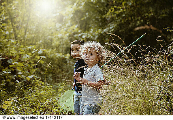 Boys standing together in forest during sunny day