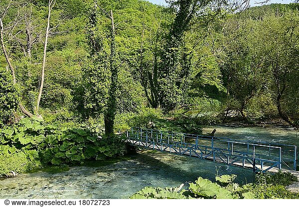 Brücke über Fluss Bistrica  bei Syri i Kalter  nahe Saranda  Br?cke  Albanien  Europa