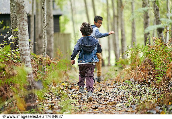 Brüder laufen auf einem Waldweg