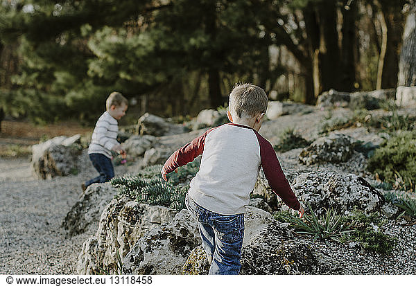 Brüder spielen im Park