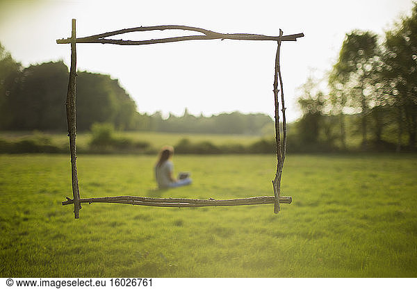 Branch frame over woman using laptop in idyllic grass field