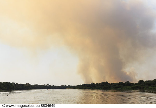 Brazil  Mato Grosso do Sul  Pantanal  Cuiaba River  Forest fire