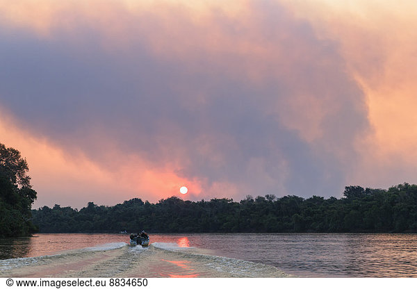 Brazil  Mato Grosso do Sul  Pantanal  Cuiaba River  Forest fire at sunset