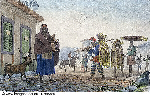 Brazil South America. Farm animals for sale. Lithograph coloured after Jean-Baptiste Debret (1768–1848). From: J.B.Debret Voyage pittoresque et historique au Brésil (..) Paris (Firmin Didot Frères) 1834–39 plate 30.