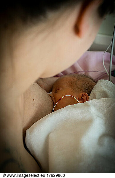 Breastfeeding by a mother for her premature baby.