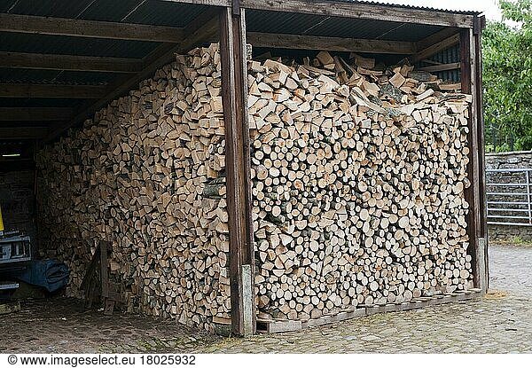 Brennholz im Schuppen eines Bauernhofs  England  Juni