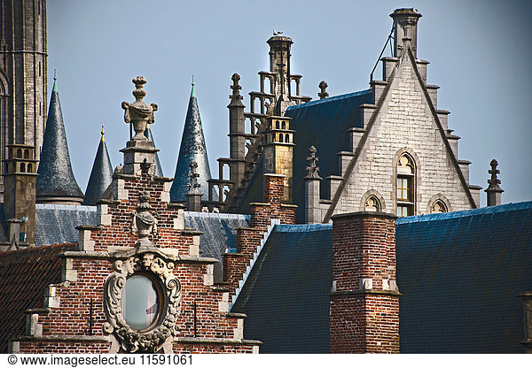 Brick rooftops of ornate buildings