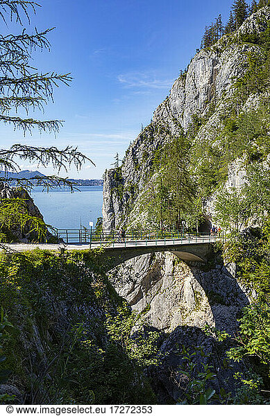 Bridge over Lainaugraben on Traunstein Mountain  Gmunden  Traunsee  Salzkammergut  Austria  Upper Austria