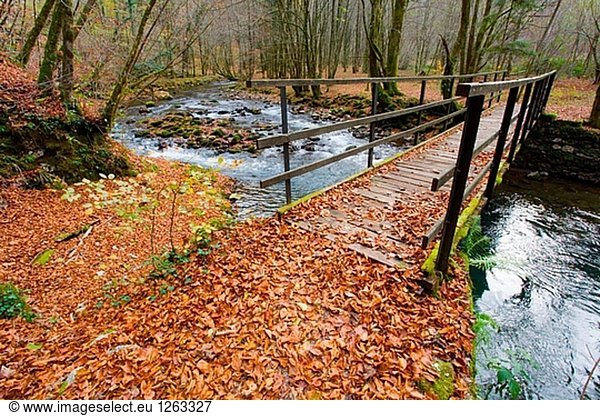 Bridge over small river 'Curak' in Zeleni vir park near town Skrad (Gorski kotar county). Croatia. Autumn.