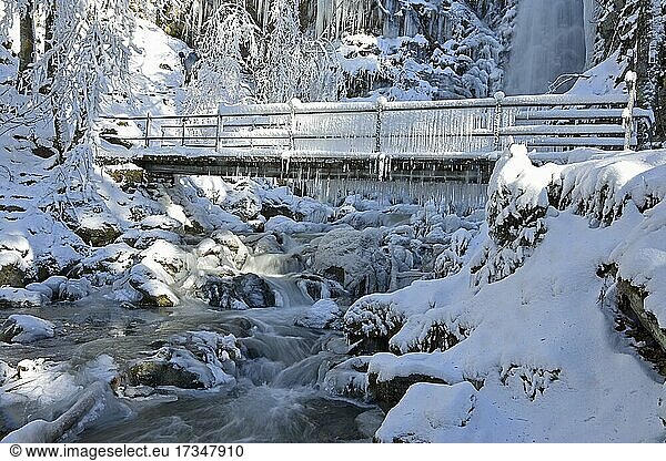 Bridge with icicles and frozen stream  winter landscape  Todtnau waterfall  Feldberg  Black Forest  Baden-Württemberg  Germany  Europe