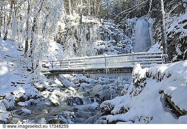 Bridge with icicles and icy waterfall  winter landscape  Todtnau waterfall  Feldberg  Black Forest  Baden-württemberg  Germany  Europe