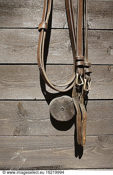 Bridle on house wall
