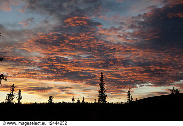 Brilliant Orange Sonnenuntergang in Alaska Range  Interior Alaska  Herbst