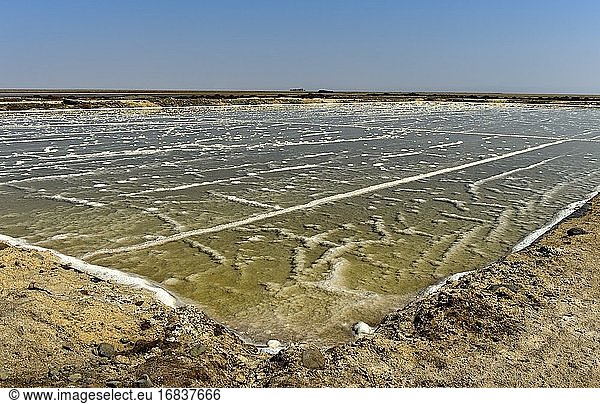 Brine in a salt evaporation pond of a salt works  commercial salt production on the Assale salt lake near Hamadela  Danakil Depression  Afar Region  Ethiopia.