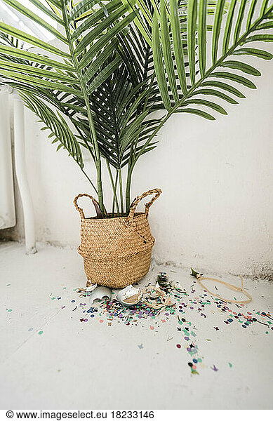 Broken bauble with scattered confetti by potted plant in front of white wall