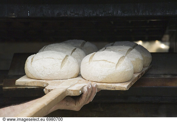 Brot  02 Position  Brotlaib  Bäcker  Backofen  Ofen  Teig