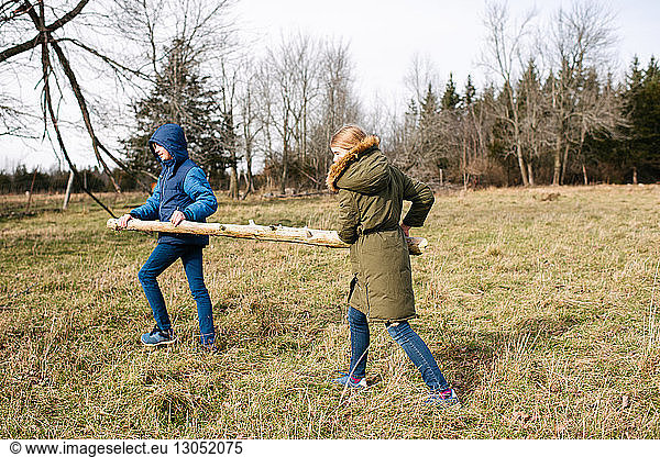 Brother and sister carrying log in field