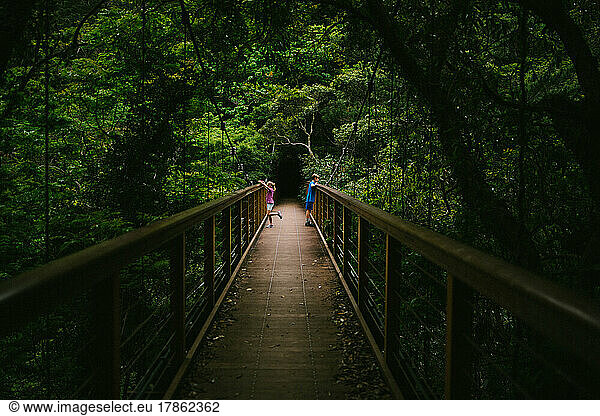 Brother and sister on a bridge on hike in tropical forest