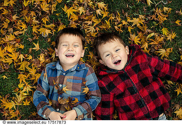 Brothers lying on lawn with leaves looking up