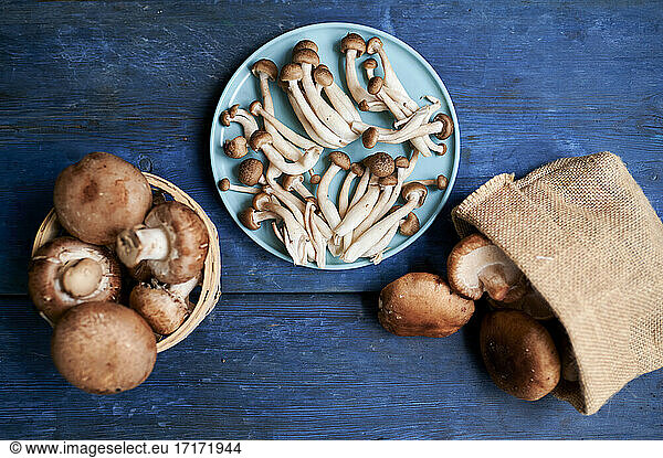 Brown edible mushrooms lying on blue wooden surface