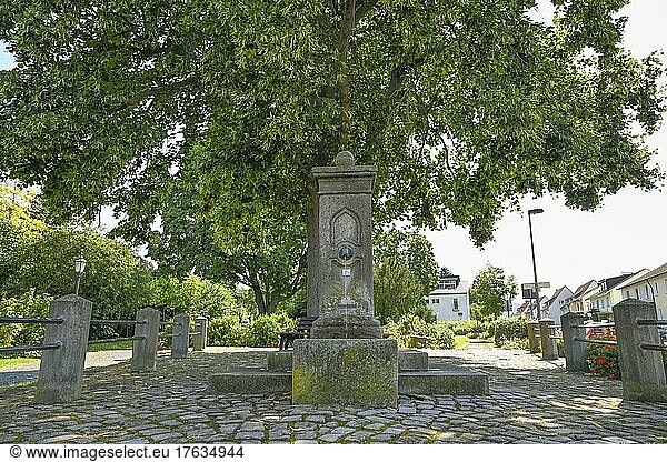 Brunnen vor dem Tore  Lindenbaum  Ort des Liedes von Franz Schubert  Bad Sooden-Allendorf  Hessen  Deutschland  Europa
