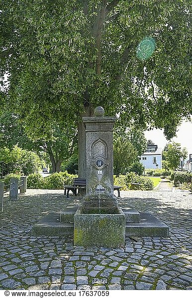 Brunnen vor dem Tore  Lindenbaum  Ort des Liedes von Franz Schubert  Bad Sooden-Allendorf  Hessen  Deutschland  Europa