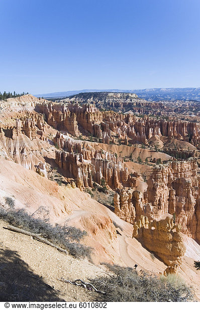 Bryce Canyon Nationalpark Utah Vereinigte Staaten von Amerika Nordamerika