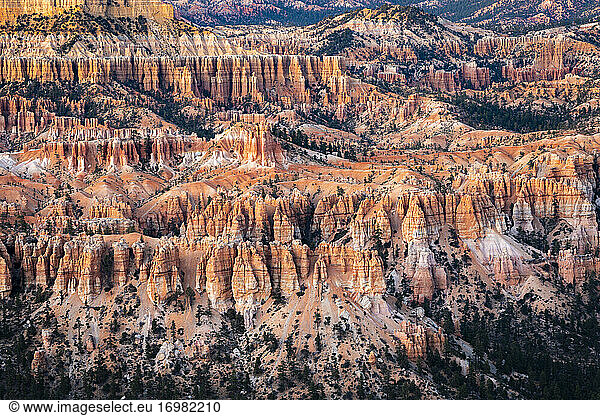 Bryce Canyon umgeben von Hoodoos  Bryce Point  Bryce Canyon National Park  Utah  USA