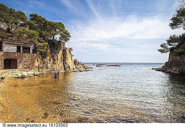 Bucht von Aigua Xelida  Tamariu  Costa Brava  Girona  Spanien.