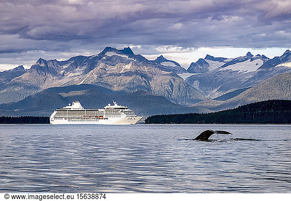 Buckelwal (Megaptera novaeangliae) und ein Kreuzfahrtschiff entlang der Küstenlinie und der Küstenberge  Inside Passage  Lynn Canal; Alaska  Vereinigte Staaten von Amerika