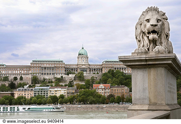 Budapest Hauptstadt Löwe Panthera leo Palast Schloß Schlösser über Hintergrund Fluss Donau Ungarn
