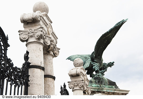 Budapest Hauptstadt Statue Vogel Ungarn