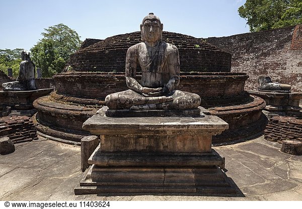 Buddha-Statue im Vatadaga  Terrasse der Zahnreliquie  Dalada Maluwa  alte Königsstadt  Sacred City  Polonnaruwa  Nord-Zentralprovinz  Sri Lanka  Asien