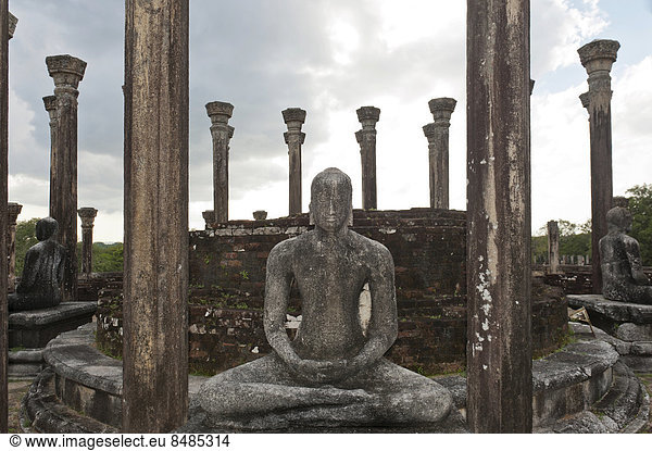 Buddha-Statue in einer Tempelruine  Tempel von Medirigiriya  Medirigiriya  Sri Lanka