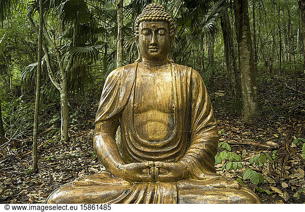 Buddha statue in the Atlantic Forest