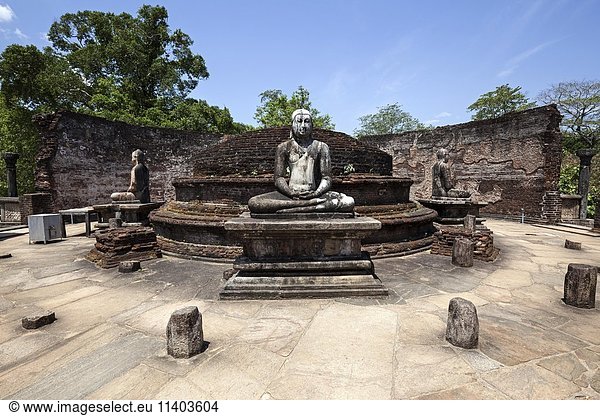 Buddha-Statuen im Vatadaga  Terrasse der Zahnreliquie  Dalada Maluwa  alte Königsstadt  Sacred City  Polonnaruwa  Nord-Zentralprovinz  Sri Lanka  Asien