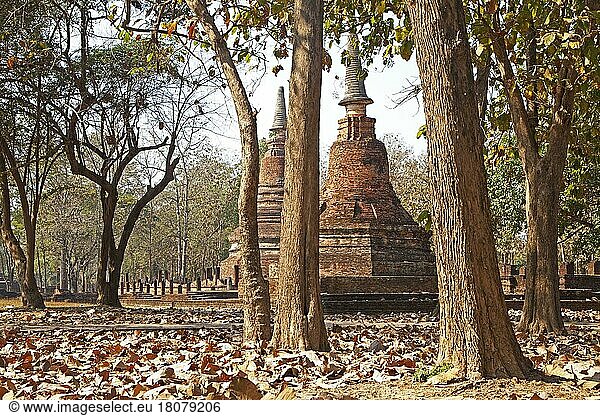 Buddhistische Stupas im Kamphaeng Phet Historical Park  Nordthailand