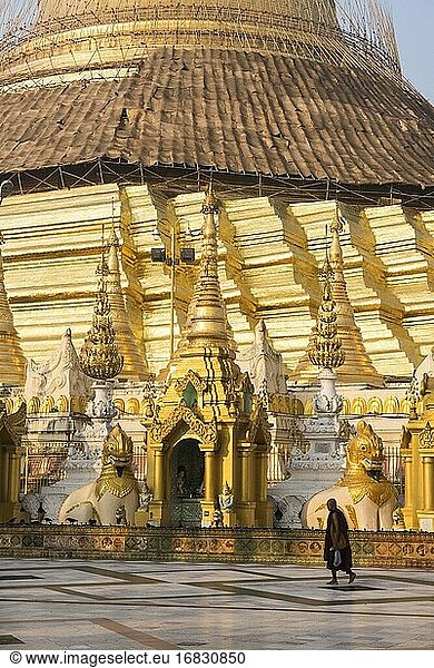 Buddhistischer Mönch in der Shwedagon-Pagode (auch Goldene Pagode genannt)  Yangon (Rangun)  Myanmar (Birma)
