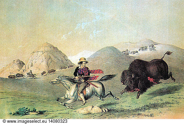 Buffalo Bull Chasing Back  19th Century