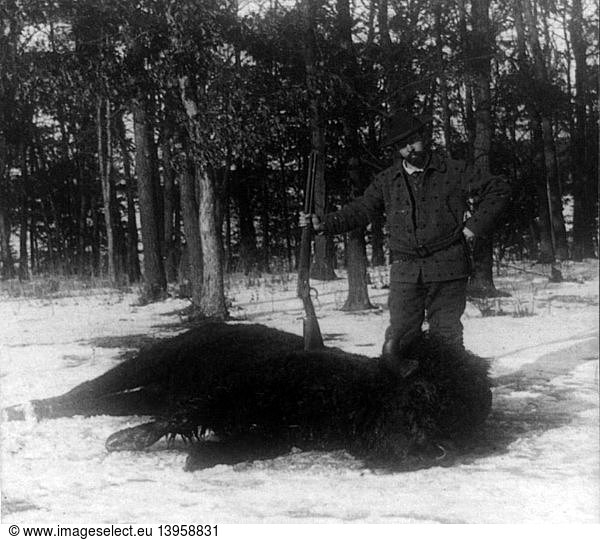 Buffalo Hunting  1897