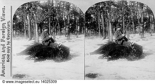 Buffalo Hunting  1898