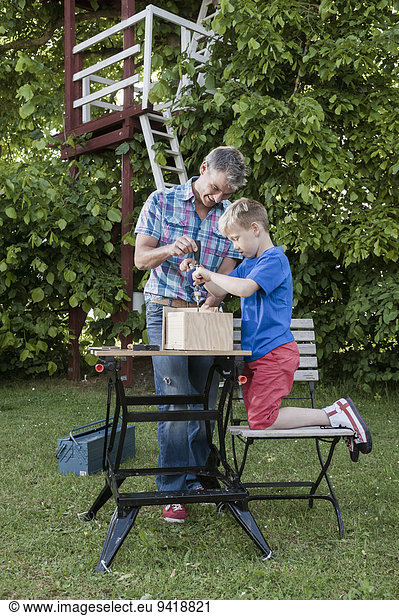 Building birdhouse father son together working